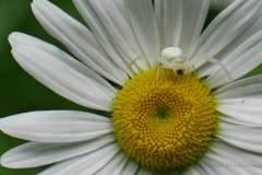 20190715_202721-csm-1